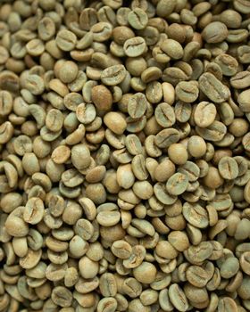 The Definitive Source for Exceptional Green Coffee. - Individual supplier - Oman