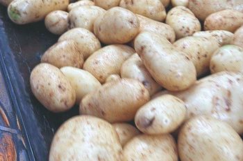 Potatoes (Washed & Sorted) - VGE Vegetables Global Export - Vietnam