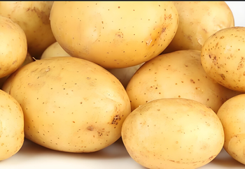 potato,fresh potato,vegetables,vegetable Color yellow Weight (kg) - Guorun (Tianjin) Trading Co., Ltd. - China