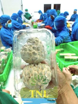 Custard Apple (Na) - TNL Agricultural Fisheries Co., Ltd. - Vietnam