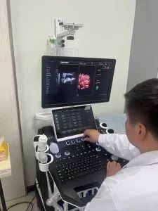 3D/4D EL Electrical Evelated Adjustable (SIT- STAND TYPE) Color Doppler Ultrasound Machine - Dawei Medical Co., Ltd - China