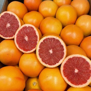 Fresh Grapefruit for sale Color Red Organic Yes Origin South Africa Degree of Processing Fresh - NINE FRUITS EXPORTS (PTY) LTD - South Africa