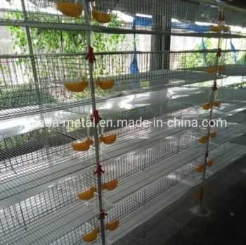 H Type Quail Cage for Poultry Farming Poultry Equipment - SHIJIAZHUANG YAJIADA METAL PRODUCTS CO., LTD. - China