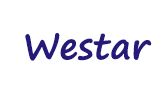 Product - Jiangxi Westar Lighting Technology Co., Ltd - China