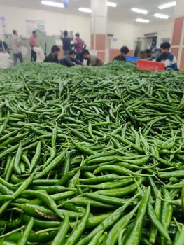 Green Chilli G4 – 1×40FT Container to Sohar Port, Oman – product photo, Recommend Fallback