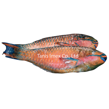 BEST SELLING!! Natural Frozen ParrotFish Whole /Fillets IQF Vietnam Wholesale original price - TANIS IMPORT & EXPORT COMPANY LIMITED - Vietnam