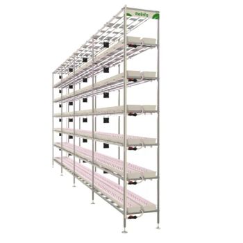 Strawberry Hydroponic Drip Irrigation System with Drip Trays and LED Grow Light - Foshan Reinfa Agtech Co., Ltd. - China