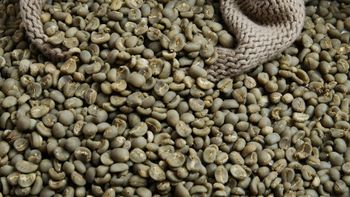 Indonesian Premium Arabica Green Coffee Beans Grade - Integra Artha Terra - Indonesia