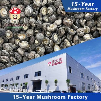 Customized Sizes Dry shiitake mushroom Gutailang Nanyang hydrated dried mushroom for sale Dried shiitake mushrooms cooking soup - Henan Gutailang Foods Co., Ltd. - China
