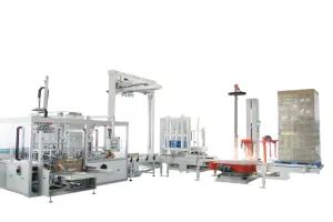 Vertical Pick and Place Case Loading Machine - Jiangsu Ketchview Machinery Technology Co., Ltd. - China