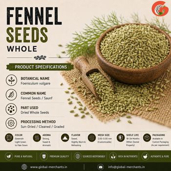 Fennel Seeds | Indian Fennel Seeds | Organic & Conventional | Premium Quality | Bulk Export Supplier - Global Merchants - India