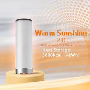 110V 220V Electric Convector Fan Hot Air Rechargeable Mini Portable Room Heaters - Qingdao Dadi Energy Co., Ltd. - China
