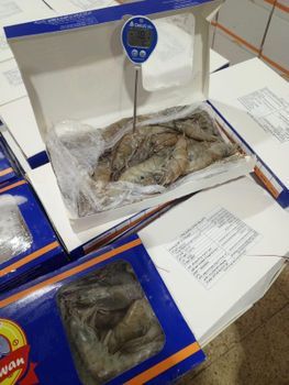 High-quality Ecuadorian shrimp, the best shrimp in the world - Empacados del Mar S.A.S - Ecuador