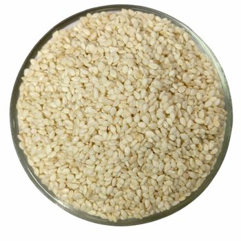 Natural Black Sesame Seed Premium Oil Rich Sesame Seed For Food Ingredient Processing And Wholesale Distribution - THE GREEN INTERNATIONAL LIMITED - Tanzania