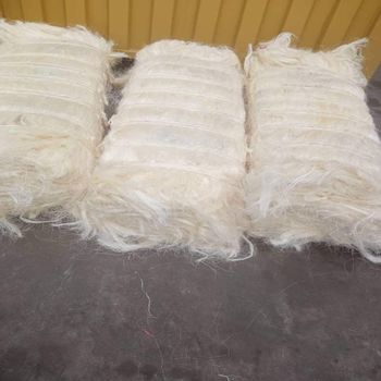 Raw Sisal Coco Fiber Eco-Friendly Natural Filling Material Custom Length Other Parts KBS Brand White Fineness Fiber - AGRONOVA - United States