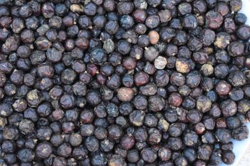 HIMALAYAN JUNIPER BERRY Fragrance Rich Origin Himalayas Shelf Life 2 Year Packaging As per Customer Need Cultivation Type ORGANIC, WILD - Universal Seed & Agri Corporation - Pakistan