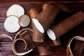 Fresh Cassava - emberbold limited - Netherlands