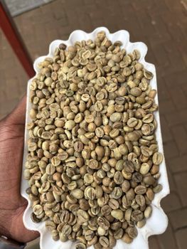 Robusta green coffee beans Scrn 1500 – product photo, Premium Supplier Latest Products