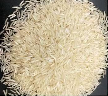 Long Grain Basmati Rice - Miana group of exporters - Pakistan