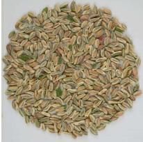 Whole Shelled kernel pistachio perfect green 80% whole boken 2% - Navser International Trading - Turkey