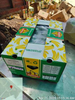 Fresh Banana, Grapes, Onion, Maize, Sweet Corn, Basmati Rice, Onion - NATURE SOLUTIONS - India