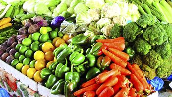 Dried Vegetables - Global Fruits Europe B.V - United Kingdom