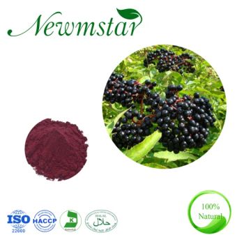 Factory Supply with ISO Certified Plant Extract Elderberry Extract /Black Elderberry Extract with Anthocyanin 5% - Hunan New Mstar Biotechnology Co., Ltd. - China