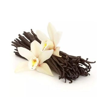 Premium Vanilla Beans available in bulk wholesale purchase affordable rates quick shipment - Leta Trading sprl - Poland