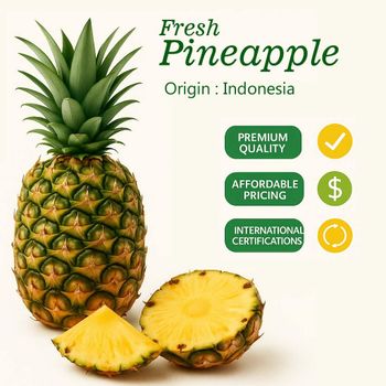 Bulk Price Fresh Pineapple - PT. INDORAYA SINAR GEMILANG - Indonesia