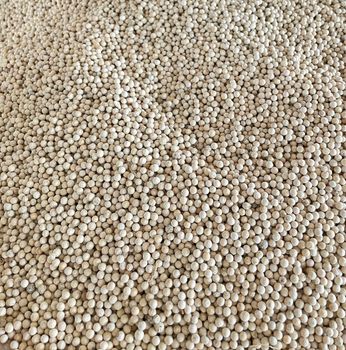 White Pepper Type Pepper Color Natural White, white Form Whole Dried Pepper Seeds Quality Standard Export Standard Packaging Bag, Bulk Or Customized Bags - Lawana and Sons Supplies - South Africa