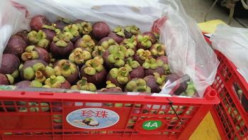 mangosteen - GHF Agro - Indonesia
