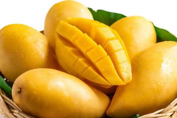 Fresh Mango - GLOCAL FRESH FOODS - Bangladesh