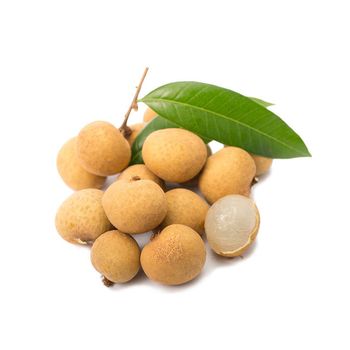 CUSTOMIZED BRAND LONGAN / BEST QUALITY FOR WHOLESALE / QUICK RESPONSE AND CHEAP PRICE EU QUALIFIED READY TO EXPORT - FOSACHA JOINT STOCK COMPANY - Vietnam