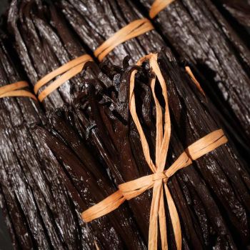 Premium Planifolia Vanilla Beans | Gourmet Grade A – product photo, Dried Vanilla Beans products found from trusted suppliers, wholesalers, manufacturers & exporters Listing