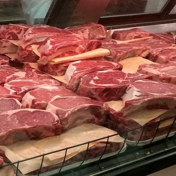 Best Authentic Taste Perfect Premium Import IQF Vacuum Pack Frozen Wagyu Beef Bone Marrow Wholesale Cheap Supply from EcoRoma GmbH Best Authentic Taste Perfect Premium Import IQF Vacuum Pack Frozen Wagyu Beef Bone Marrow Wholesale Cheap Supply - EcoRoma GmbH - Germany