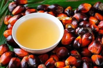 RBD Palm Olein CP10 – product photo, Palm Kernel Olein products found from trusted suppliers, wholesalers, manufacturers & exporters Listing