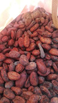 cocoa bean – product photo, Fermented Cocoa Beans products found from trusted suppliers, wholesalers, manufacturers & exporters Listing