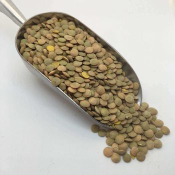 Export Ready Dehydrated Green Lentils Carefully Cleaned And Sorted With Reliable Packing Methods from malter group Export Ready Dehydrated Green Lentils Carefully Cleaned And Sorted With Reliable Packing Methods - malter group - Tanzania