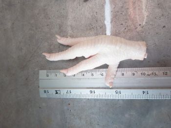 Frozen chicken feet – product photo, Frozen Bovine Feet products found from trusted suppliers, wholesalers, manufacturers & exporters Listing