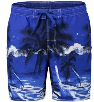 2024 Board Shorts Beach Wear Men's Swimming Trunks Streetwear Summer Shorts Hot Shorts Beach Surf Wear - Goldleaf (Shenzhen) Sports Co., Ltd. - China
