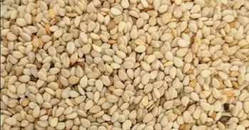 Sesame Seed – product photo, Mixed Sesame Seeds products found from trusted suppliers, wholesalers, manufacturers & exporters Listing