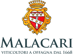 Product from AZIENDA AGRICOLA MALACARI Product – product photo, Duetto Sparkling Wine products found from trusted suppliers, wholesalers, manufacturers & exporters Listing