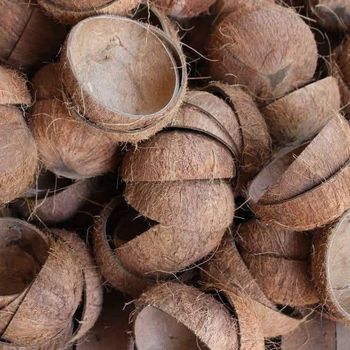 RAW COCONUT SHELL from PT LUSH CROP AGROTECH RAW COCONUT SHELL – product photo, Raw Coconut Shell products found from trusted suppliers, wholesalers, manufacturers & exporters Listing