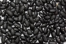  Black Turtle Bean - Chezlynne Trading (Pty) Ltd  - South Africa