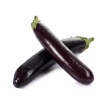 100% Natural fresh eggplant with high quality ready for Sale - Mundus Exports Pty Ltd - South Africa