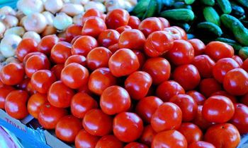 Premium Fresh Tomatoes (Export Quality) – By Kenhar Enterprises | Perfect Quality - KENHAR ENTERPRISES - Pakistan