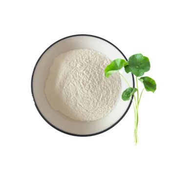 Plant Extract Herbal Extract Cosmetics Ingredients Gotu Kola Asiatic Acid Centella Asiatica Extract Triterpenoid Glycosides Powder - Shaanxi Hongkang Biological Technology Co., Ltd. - China