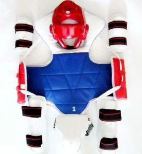 Taekwondo Karate Head Protector Hear Gear Wholesale Price - SHANDONG JIAHE SPORTS EQUIPMENT CO., LTD. - China