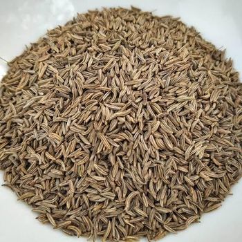 Caraway - Kemet for Export - Egypt