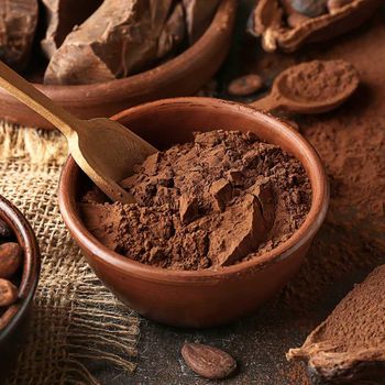 Cocoa Powder Bulk - Starmark Company Limited - Tanzania